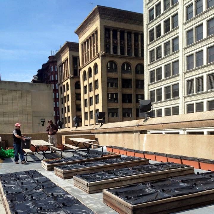 Urban Harvest FOOD ROOF Farm - St. Louis